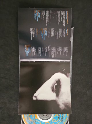 CD Mikel Erentxun - Naufragios
