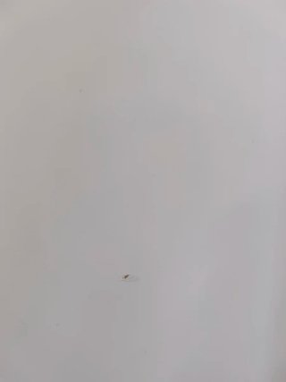 Escritorio Malm Ikea Blanco 140x65