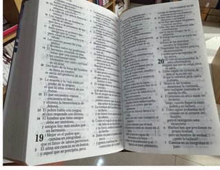 Biblia Letra Grande Reina Valera - Safeliz