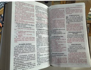Biblia Letra Grande Reina Valera - Safeliz