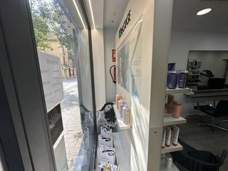 Local comercial en alquiler en Mestral en Reus