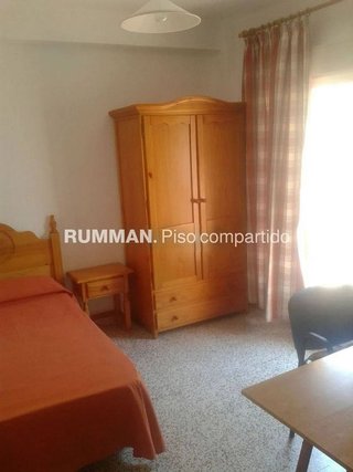 Piso en alquiler en Camino de Ronda - Rosaleda en Granada