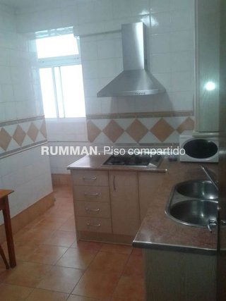 Piso en alquiler en Camino de Ronda - Rosaleda en Granada