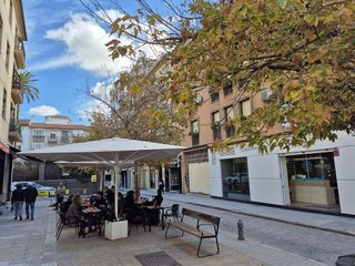 Piso en alquiler en San Matías - Realejo en Granada