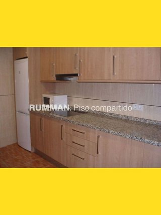 Piso en alquiler en Camino de Ronda - Rosaleda en Granada