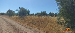 Terreno en venta en Almendralejo