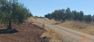Terreno en venta en Almendralejo