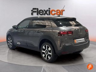 Citroën C4 Cactus PureTech 81KW (110CV) S&S EAT6 Shine
