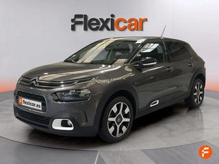 Citroën C4 Cactus PureTech 81KW (110CV) S&S EAT6 Shine