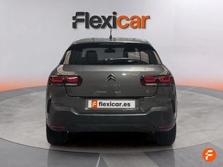 Citroën C4 Cactus PureTech 81KW (110CV) S&S EAT6 Shine