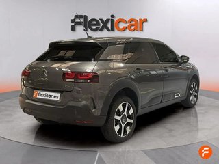Citroën C4 Cactus PureTech 81KW (110CV) S&S EAT6 Shine