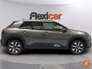 Citroën C4 Cactus PureTech 81KW (110CV) S&S EAT6 Shine