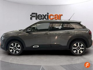Citroën C4 Cactus PureTech 81KW (110CV) S&S EAT6 Shine