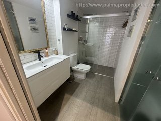 Estudio en alquiler en Sindicat en Palma de Mallorca