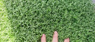 Césped Artificial Verde