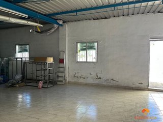 Terreno en venta en Norte en Mérida