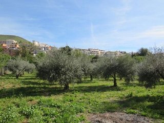 Terreno en venta en Cenes de la Vega