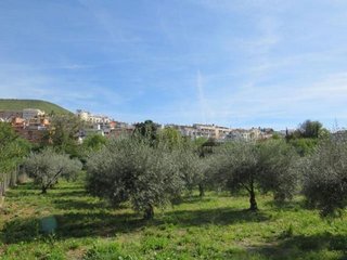 Terreno en venta en Cenes de la Vega