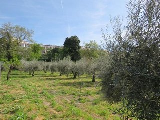 Terreno en venta en Cenes de la Vega