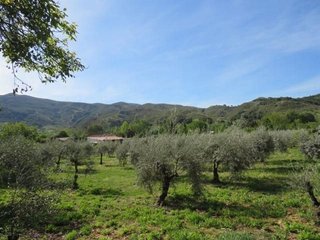 Terreno en venta en Cenes de la Vega