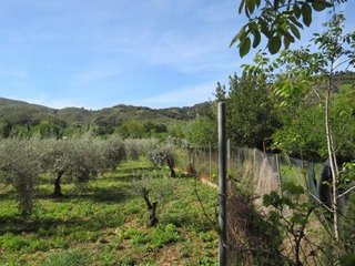 Terreno en venta en Cenes de la Vega