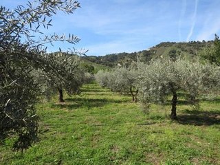 Terreno en venta en Cenes de la Vega