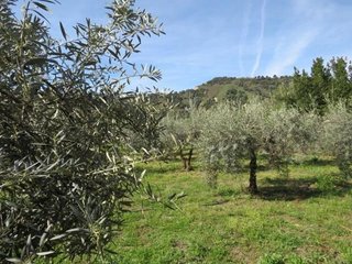 Terreno en venta en Cenes de la Vega