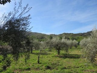 Terreno en venta en Cenes de la Vega