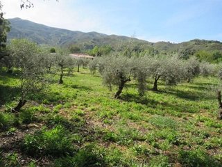 Terreno en venta en Cenes de la Vega