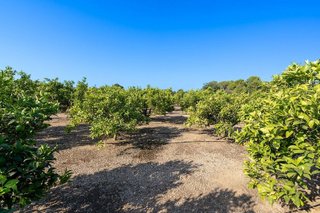 Terreno en venta en Roquetes