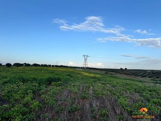 Terreno en venta en Sur en Mérida