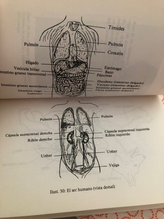 Reiki