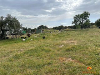 Casa rural en venta en Sur en Mérida