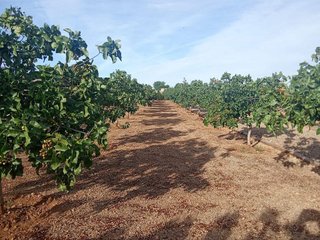 Terreno en venta en Santa María en Ciudad Real