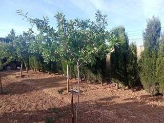 Terreno en venta en Santa María en Ciudad Real