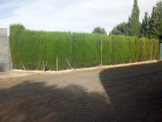 Terreno en venta en Santa María en Ciudad Real