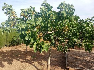 Terreno en venta en Santa María en Ciudad Real