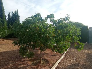 Terreno en venta en Santa María en Ciudad Real