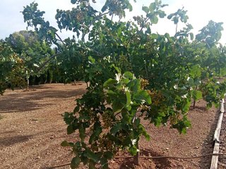 Terreno en venta en Santa María en Ciudad Real