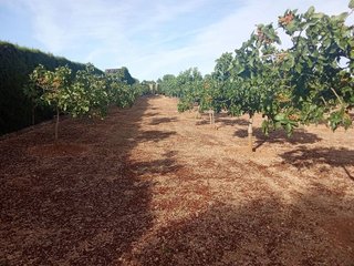 Terreno en venta en Santa María en Ciudad Real