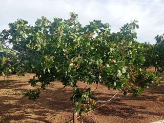 Terreno en venta en Santa María en Ciudad Real