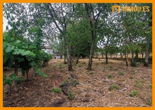 Terreno en venta en San Francisco en Ourense