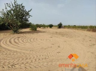 Terreno en venta en Oeste en Mérida