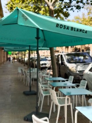 Local comercial en alquiler en Establiments - Son Espanyol - Son Sardina en Palma de Mallorca