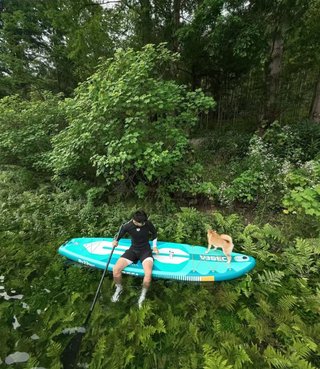 Tabla Paddle Surf Hinchable Estable Principiantes