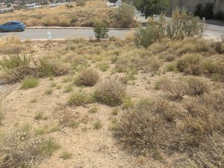 Terreno en venta en Urbanizaciones en Alhendín