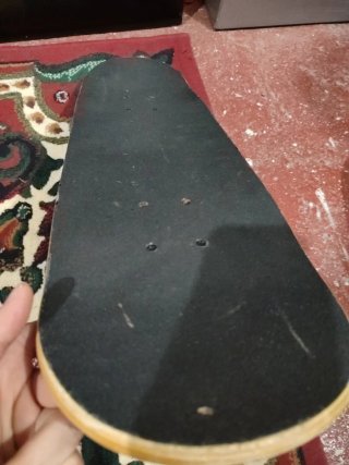 Monopatín Skateboard Diseño Oso