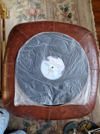 Cat Stevens - Back to Earth Vinilo LP