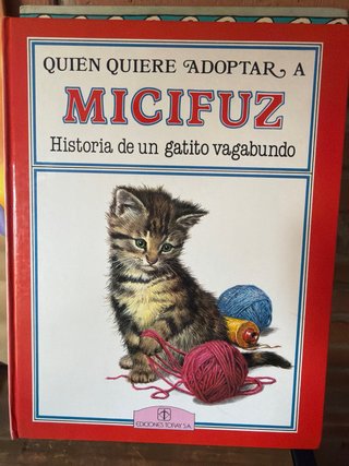 6 libros cuentos mago Oz aladino infantil