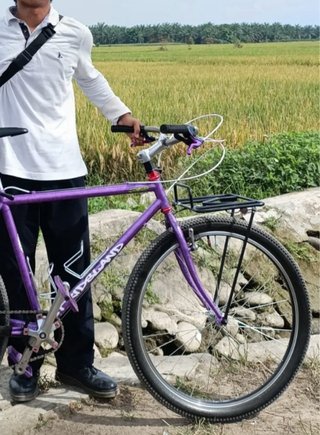 Portaequipajes delantero bicicleta negro
